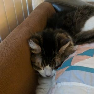 Meet your Posher, Tiff